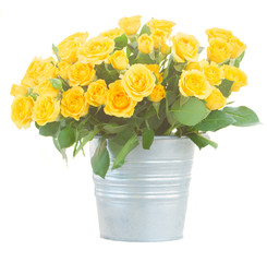 bouquet of fresh roses