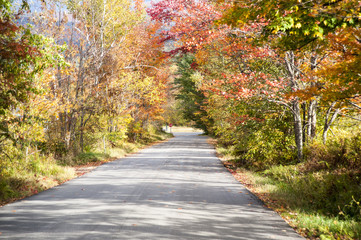 Fototapeta na wymiar Quiet country lane in fall