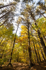 Path at Purgatory Chasm