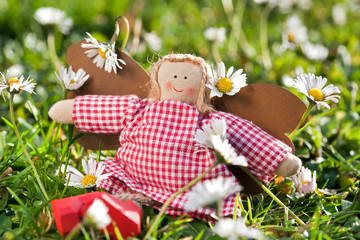 Weihnachtsengel liegt zwischen G&auml;nsebl&uuml;mchen