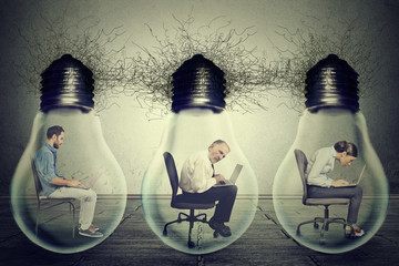 Company employees sitting in row inside electric lamp light bulb using laptop