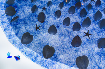 ハート型の貝殻