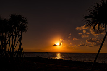 南国の夕日
