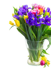 spring tulips and irises
