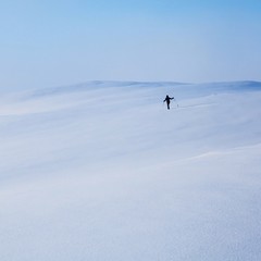 Lonely Skier