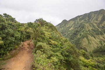 Wanderweg zum  im Regenwald von Dominica