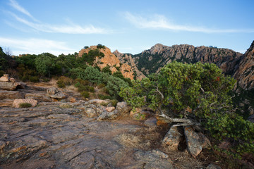 Fototapeta na wymiar Les calanches de Piana, Corsica, France