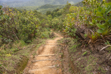 Wanderweg zum  im Regenwald von Dominica