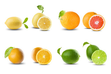 Fototapeta na wymiar Citrus Fruit On White Background