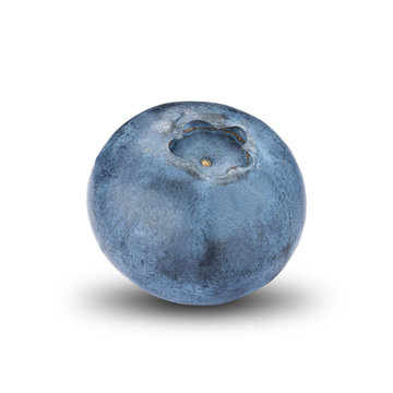 Blueberry On White Background