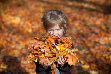 Cute little boy with heap of autumn leaves in his hands.