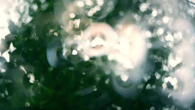 Amazing play of magic light through the green foliage. Abstract floral background with diagonal motion in fairy tale style for dreamlike mood. Adorable view of sunshine rings in amazing full HD clip.