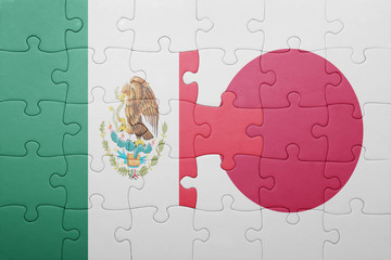 puzzle with the national flag of mexico and japan