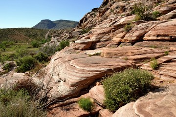 Exploring Red Rock Canyon