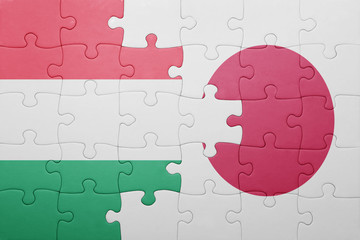 puzzle with the national flag of hungary and japan