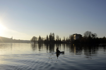 Annecy lake landscape and kayaker in France