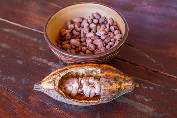 geöffnete Frucht und Samen des Kakaobaums