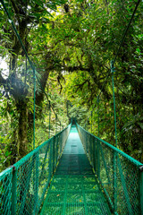 Naklejka premium eine Brücke im Regenwald in Costa Rica