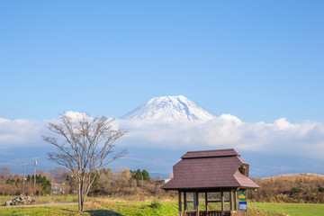 富士山, 霧降高原, 冬, 自然風景, 冬イメージ, 11月, 12月, 山梨, 世界遺産,...