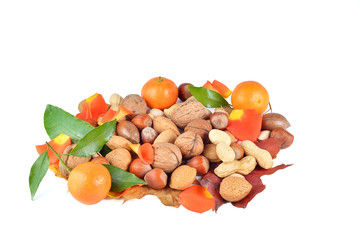 Winter fruits and seeds