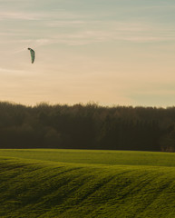 Kite in a beautiful landscape by sunset 