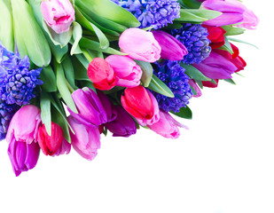 bouquet of   blue hyacinth and  tulips 
