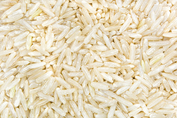 close up shot of oat(textured) - 97950045