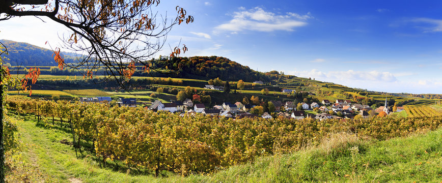 Blick &uuml;ber Bickensohl im Kaiserstuhl