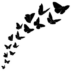 Obraz na płótnie Canvas Flight Of Black Butterflies