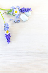 Holzhintergrund mit Traubenhyazinthe und Gänseblümchen