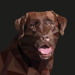 Brown Labrador in the style of triangulation. Vector illustration