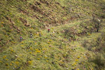  Unknown racer on the competition of the mountain bike 