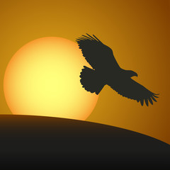 Sunset with a silhouette of an eagle. Vector illustration
