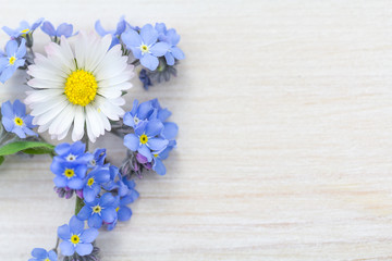 Holzhintergrund mit Gänseblümchen und  Vergissmeinnicht