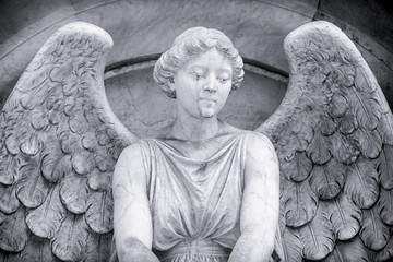 Panele Szklane Podświetlane  czarno-białe ujęcie anioła.