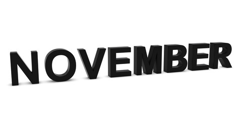 NOVEMBER Black 3D Month Text Isolated on White