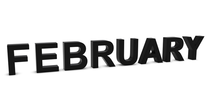 FEBRUARY Black 3D Month Text Isolated on White