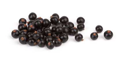 black currant