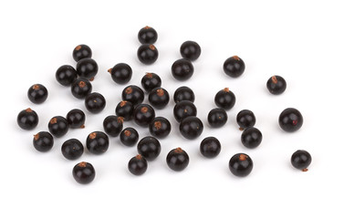 black currant