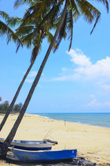 Fisherman boat unther the coconut tree
