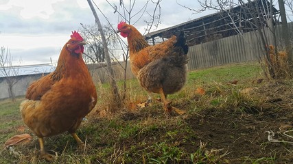 встреча подружек