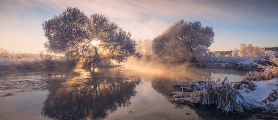 Frosty winter trees illuminated by the rising sun . The sun shines through tree . Magic winter morning . Misty landscape of frozen morning .
