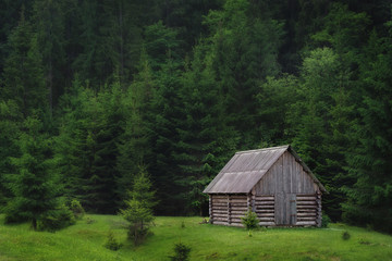lonely wooden hut in a clearing in the woods