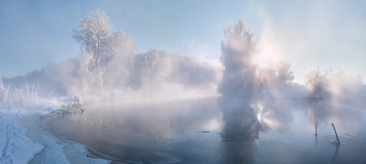 Frosty winter trees illuminated by the rising sun . Cristal winter morning . Frozen tree on snowy riverside .