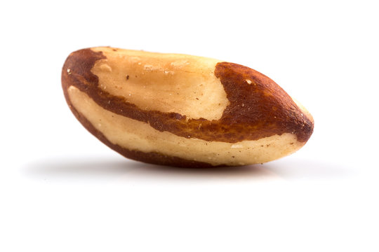 Brazil nuts on white close up