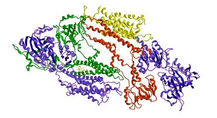 Molecular structure calcium pump