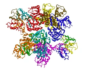 Fotobehang Molecular structure of Sodium-Potassium Pump © raimund14