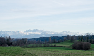 Fototapeta na wymiar Berge und Hügel am Greifensee