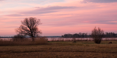 Fototapeta na wymiar Der Greifensee bei Sonnenuntergang