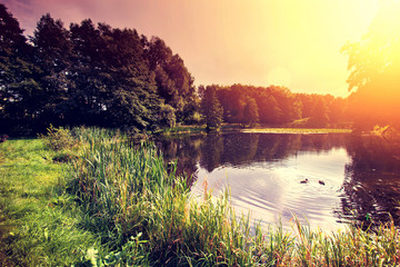 Sunset over lake. © Anioł